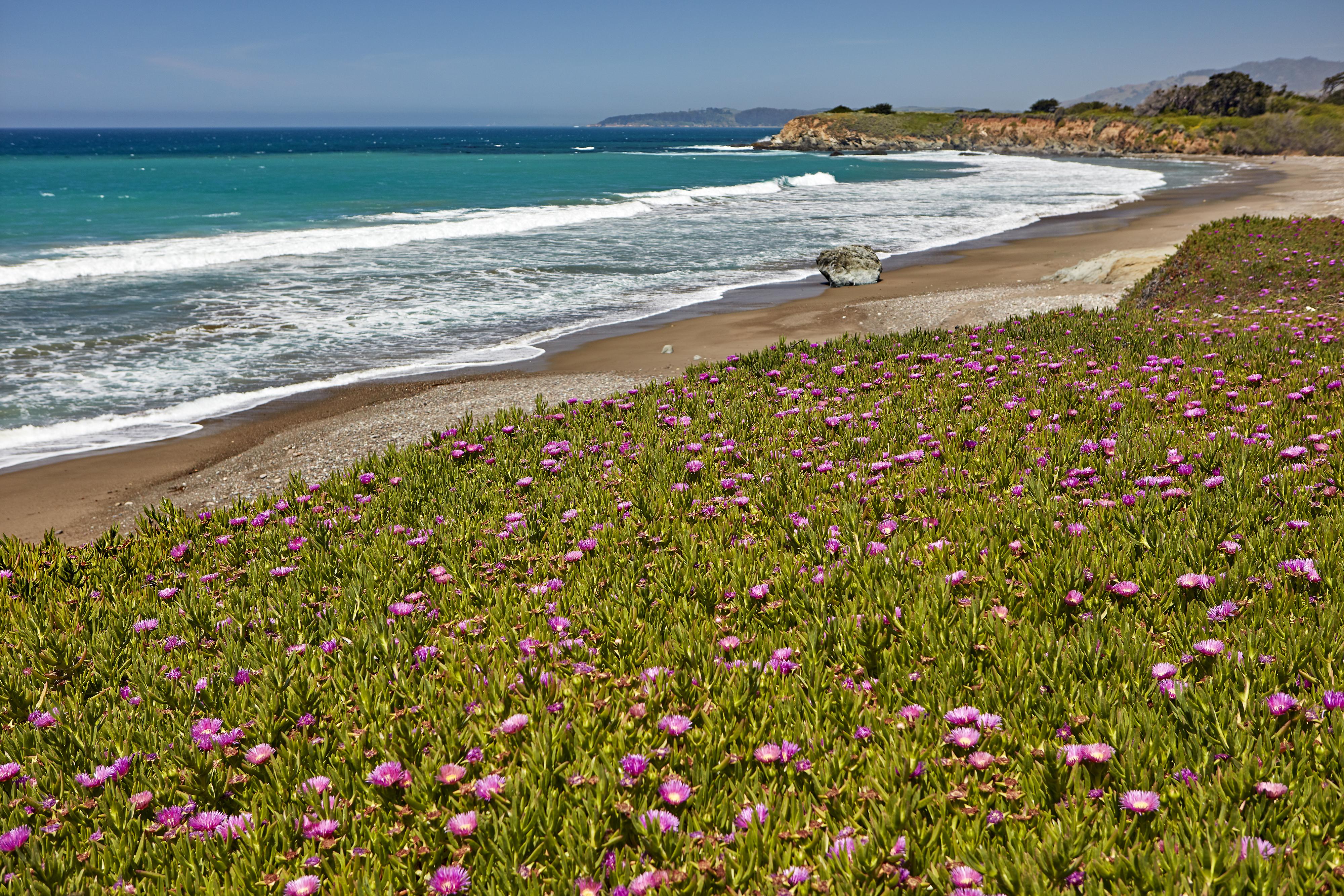 Cavalier Oceanfront Resort San Simeon Bagian luar foto